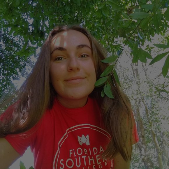 No theme Share Show - Picture 3 of 6